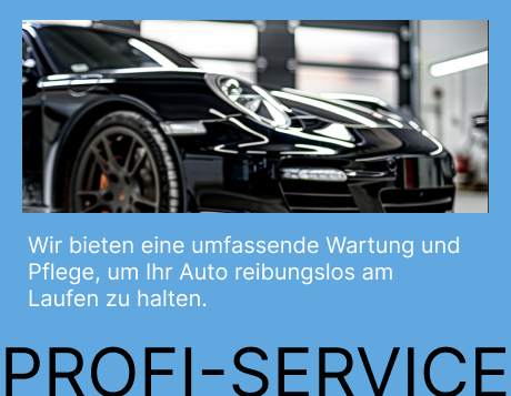 profi-service.jpg